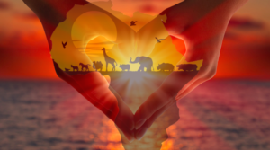I share my heart with Africa