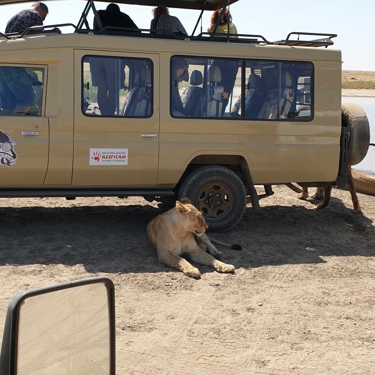 Our Safari Vehicles